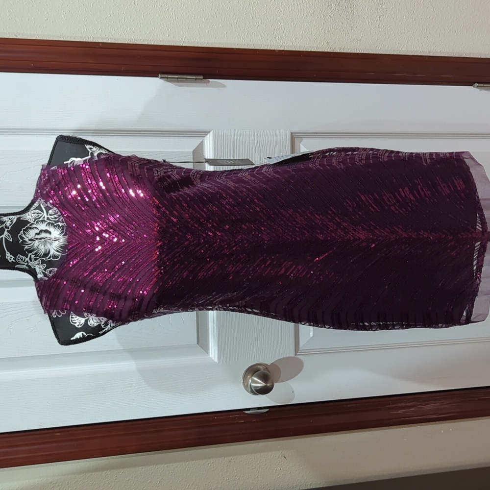 Vince Camuto Special Occasion Dress Sz 2 NWT